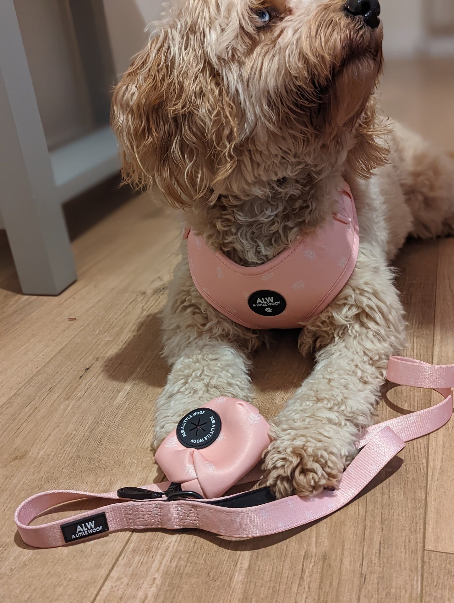 Baby Pink Leaf Harness Set | Dog Accessories | Adjustable | Sizes S and M |