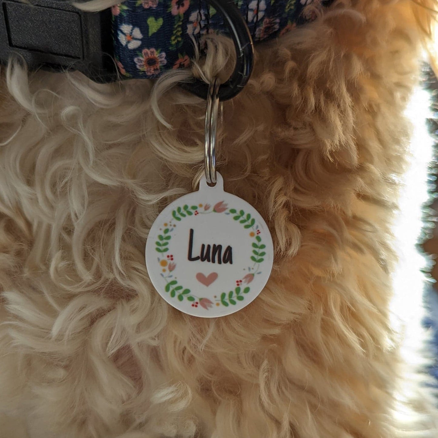 Custom Dog Tag | Double Sided | Microchipped | Information Tag |