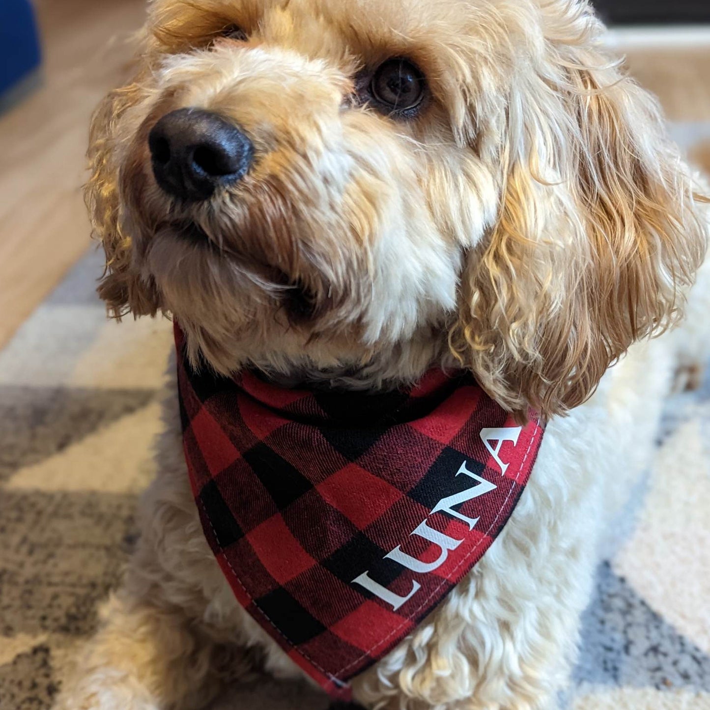 Personalised Dog Bandana | Tie On | Dog Accessories |